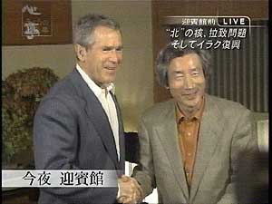 Bush & Pochi